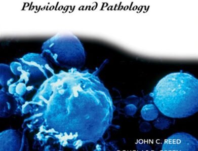 Apoptosis Physiology and Pathology