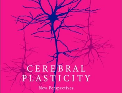 Cerebral Plasticity – New Perspectives